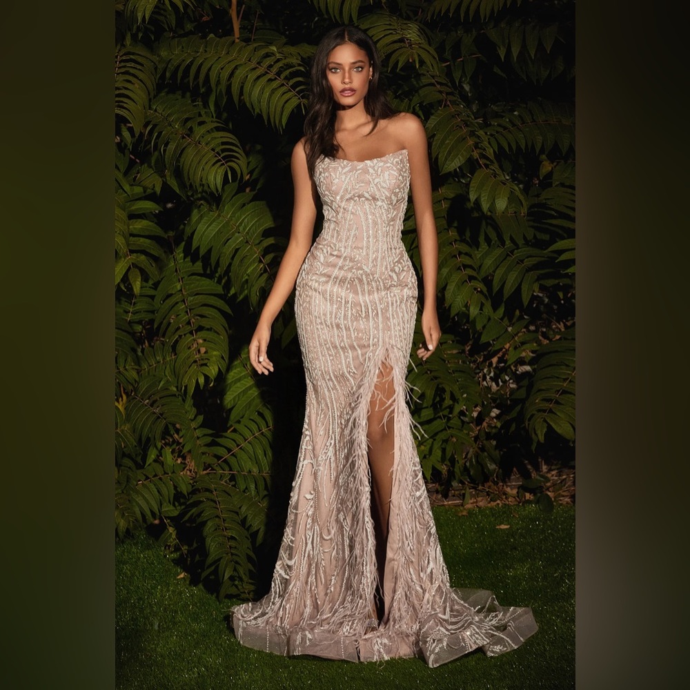 Cinderella Divine CB089 Mauve Long Feather Dress Prom Dress Size 4
